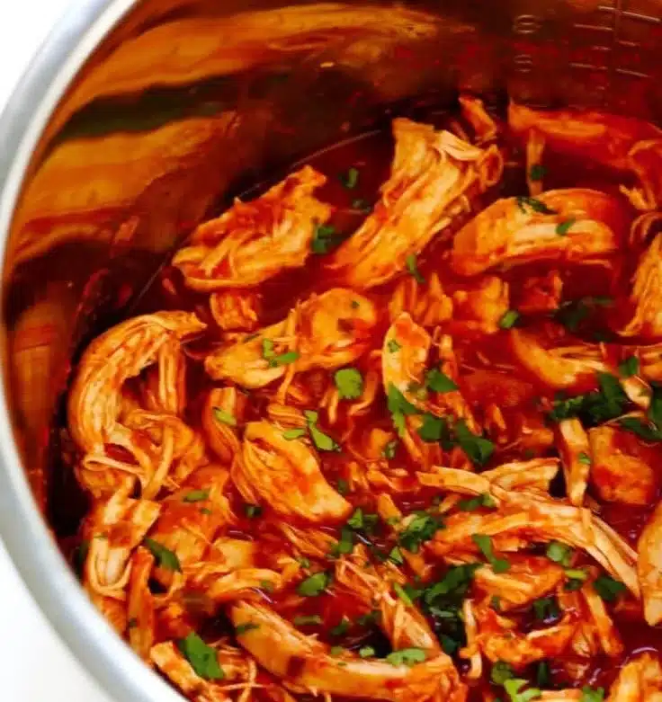 3-Ingredient Mexican Shredded Chicken