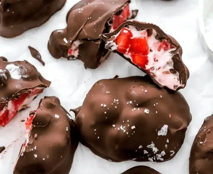Chocolate Strawberry Frozen Yogurt Bites