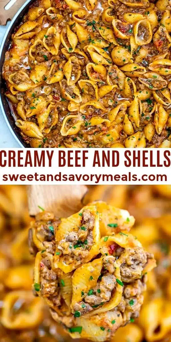 Creamy Beef and Shells