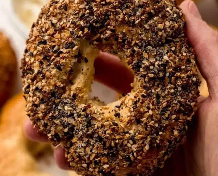 Homemade Bagel Recipe