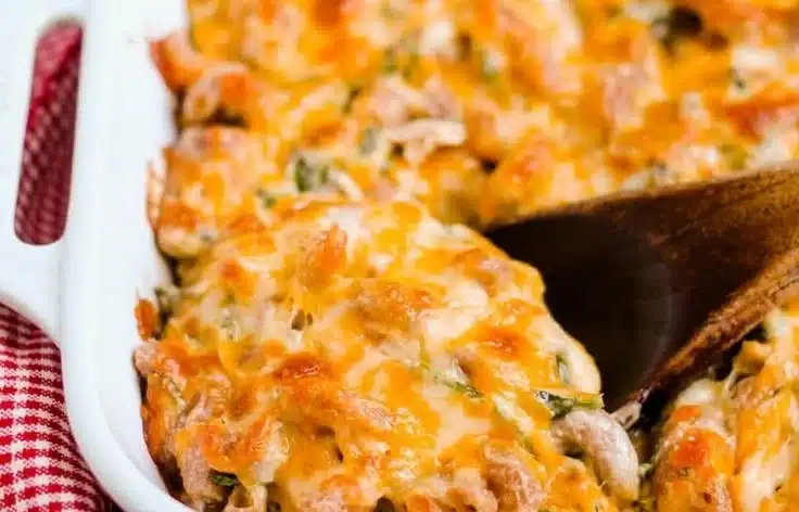 25+ Best Lazy Dinners Ready in 30 Minutes