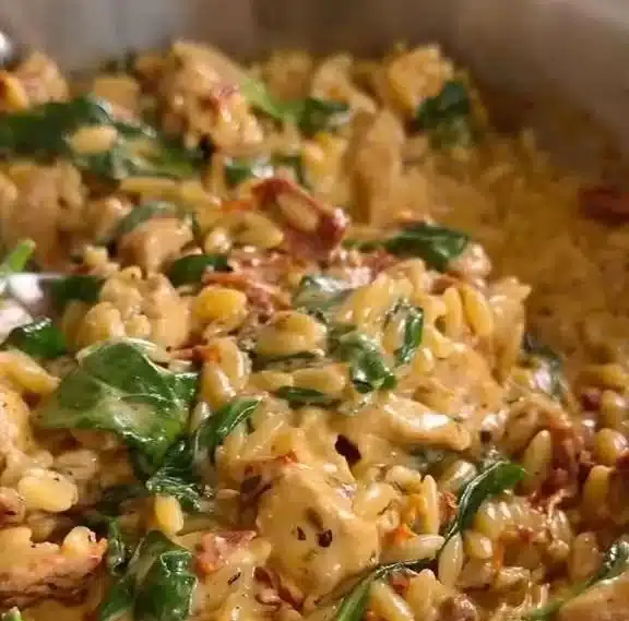 One Pot Chicken and Orzo